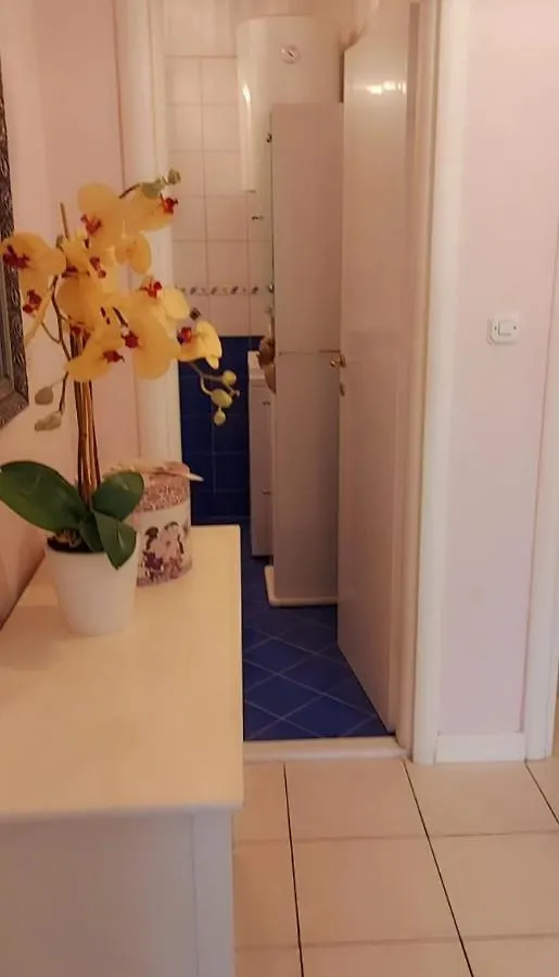 טרוגיר Apartment Vanja